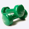 Crossfit Custom Logo Vinyl Dumbbell zum Verkauf